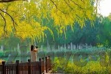大赢了足球比分-大赢足球比分，绿茵场上的数字狂欢与激情交响
