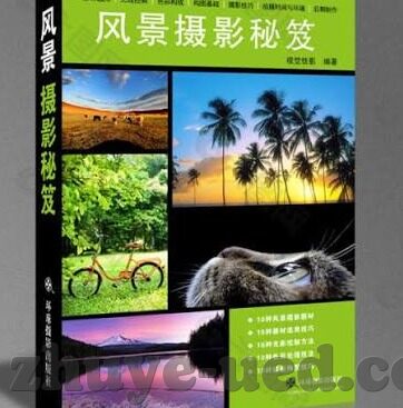 泰达足球今天比赛比分-泰达足球绝地反击！今夜2-1逆转劲敌，老将新秀共铸荣耀时刻