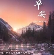足球深网比分-探秘足球深网比分，数据背后的战术博弈与球迷狂欢